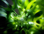 Protein — Multi-Source Plant Blend