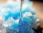 Sodium — Plant-Derived Balance