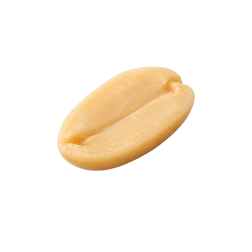 Peanut Butter