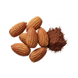 Chocolate Almond
